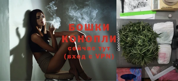 крисы Коряжма