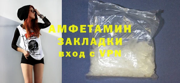 крисы Коряжма