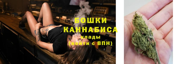 крисы Коряжма
