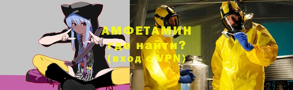крисы Коряжма