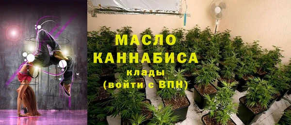 крисы Коряжма