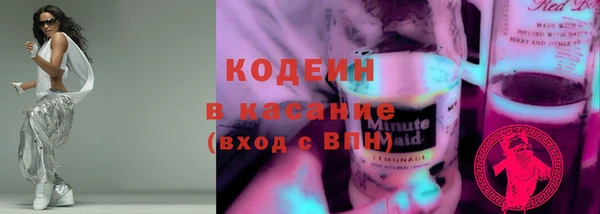 крисы Коряжма