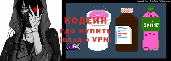 крисы Коряжма
