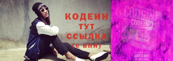 крисы Коряжма