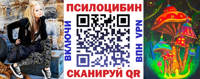 Купить закладки  Сунжа  Псилоцибиновые грибы MAGIC MUSHROOMS 